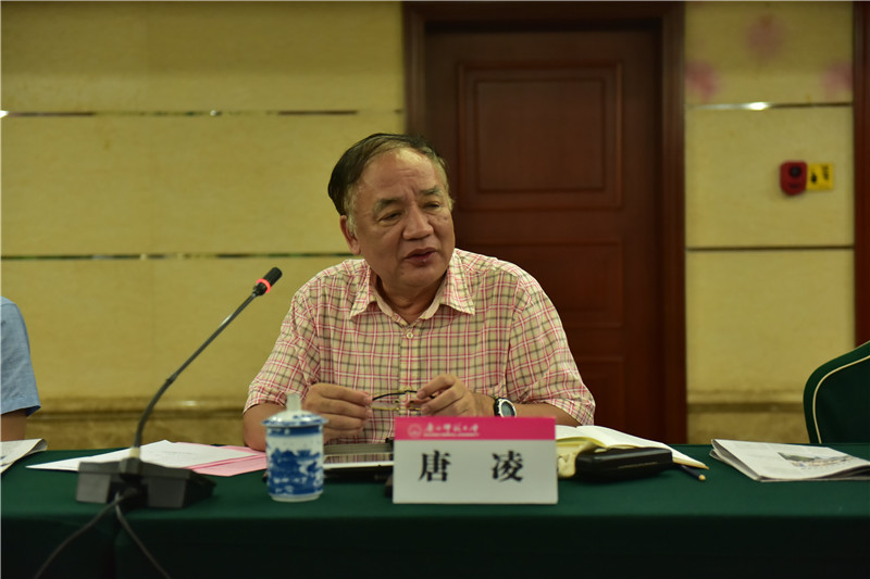 廣西歷史學(xué)會(huì )會(huì )長(cháng)、廣西師范大學(xué)歷史文化與旅游學(xué)院教授唐凌發(fā)言（郭倩 攝）.JPG